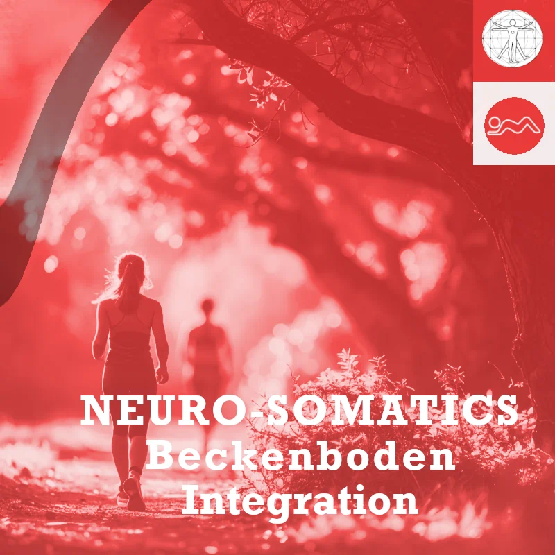 Icon_Neuro-Sometics_2_V2