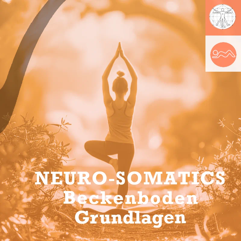 Icon_Neuro-Sometics_1_V2